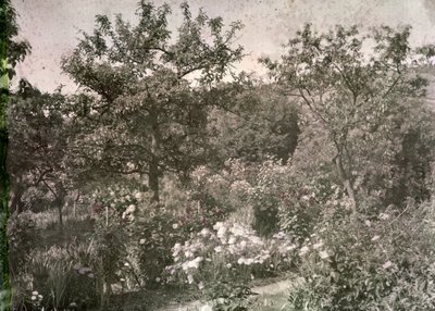 View of Giverny, Monet